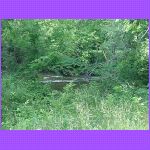 Rapids In Townsend.jpg